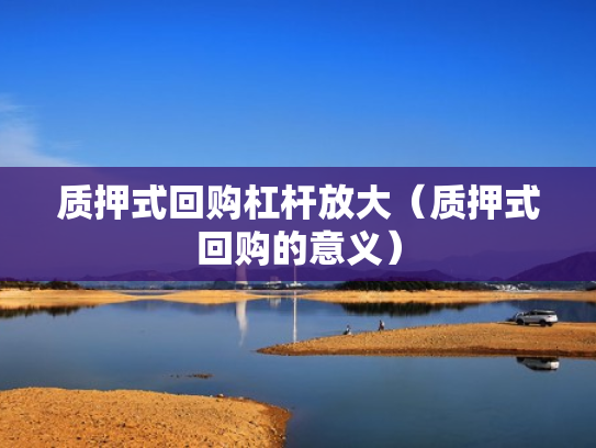 质押式回购杠杆放大（质押式回购的意义）