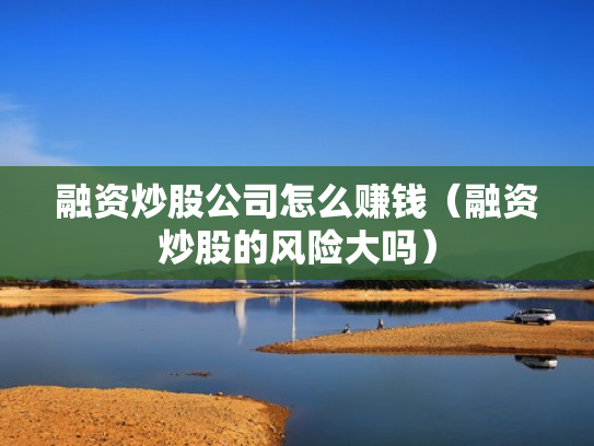 融资炒股公司怎么赚钱（融资炒股的风险大吗）