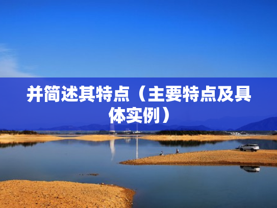 并简述其特点（主要特点及具体实例）