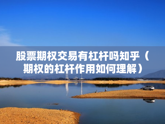 股票期权交易有杠杆吗知乎（期权的杠杆作用如何理解）