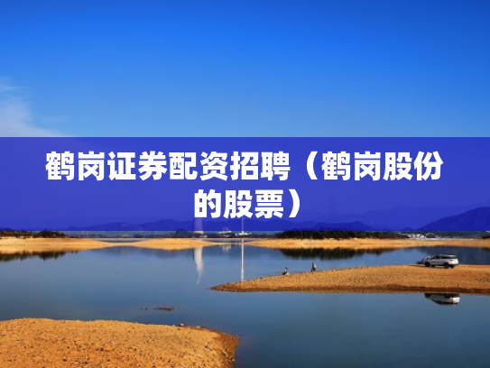 鹤岗证券配资招聘（鹤岗股份的股票）