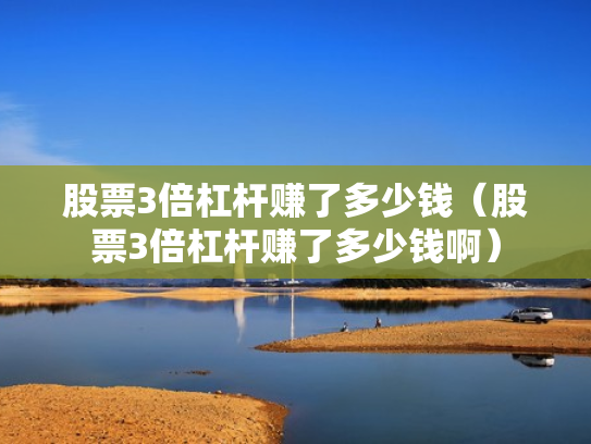 股票3倍杠杆赚了多少钱（股票3倍杠杆赚了多少钱啊）