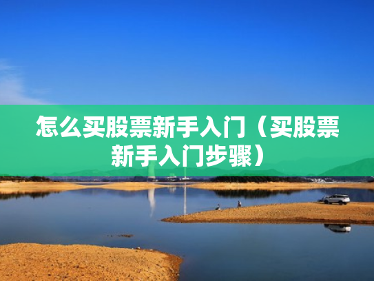 怎么买股票新手入门（买股票新手入门步骤）