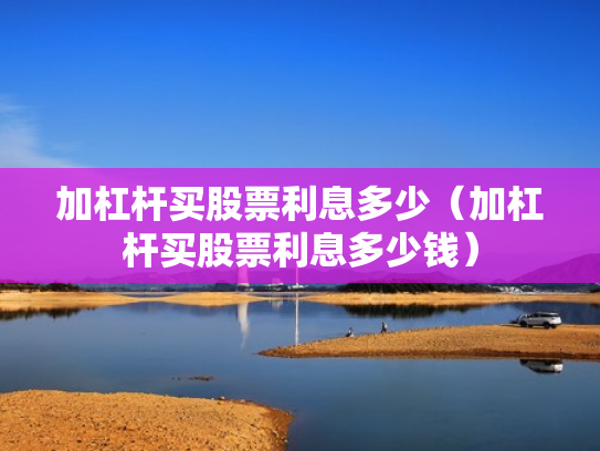 加杠杆买股票利息多少（加杠杆买股票利息多少钱）