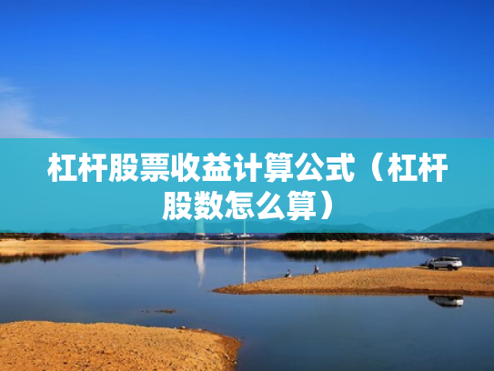 杠杆股票收益计算公式（杠杆股数怎么算）