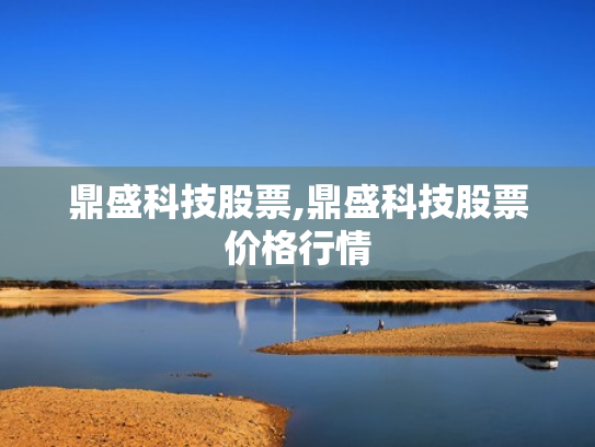鼎盛科技股票,鼎盛科技股票价格行情