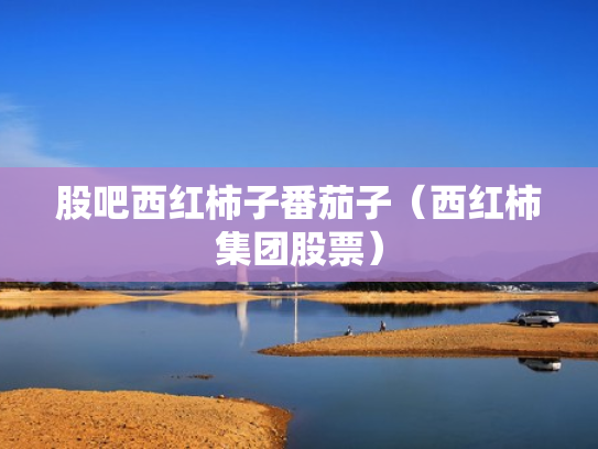 股吧西红柿子番茄子（西红柿集团股票）
