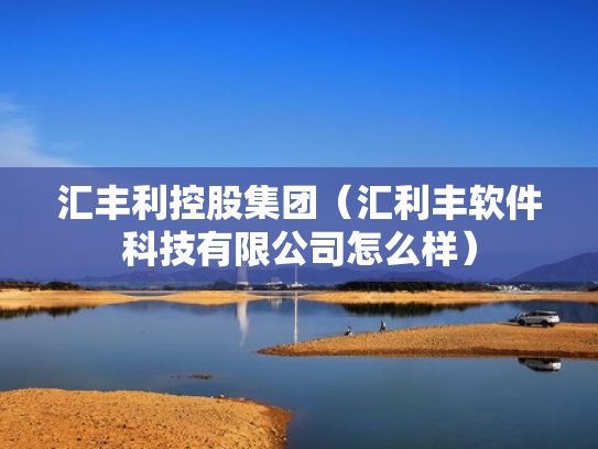 汇丰利控股集团（汇利丰软件科技有限公司怎么样）