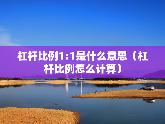 杠杆比例1:1是什么意思（杠杆比例怎么计算）