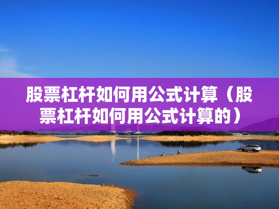 股票杠杆如何用公式计算（股票杠杆如何用公式计算的）
