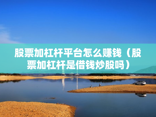 股票加杠杆平台怎么赚钱（股票加杠杆是借钱炒股吗）