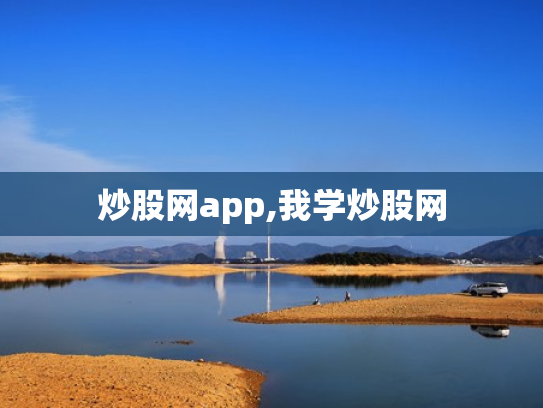炒股网app,我学炒股网