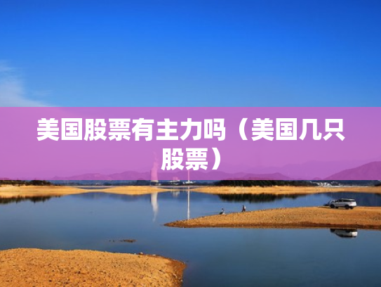 美国股票有主力吗（美国几只股票）