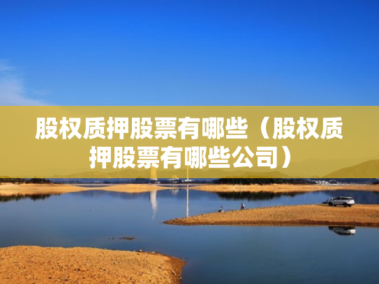 股权质押股票有哪些（股权质押股票有哪些公司）