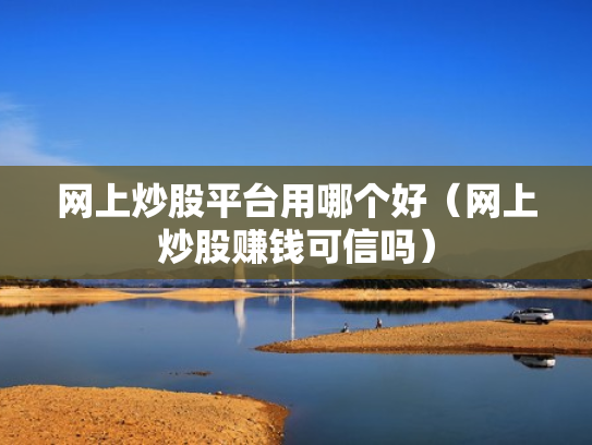 网上炒股平台用哪个好（网上炒股赚钱可信吗）