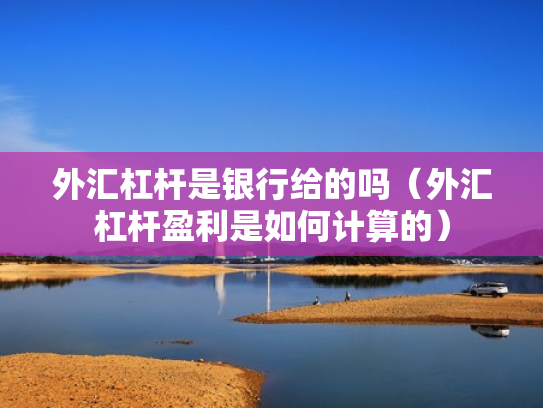 外汇杠杆是银行给的吗（外汇杠杆盈利是如何计算的）