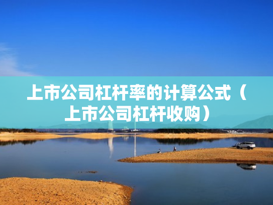 上市公司杠杆率的计算公式（上市公司杠杆收购）