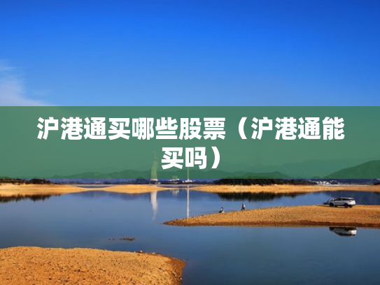沪港通买哪些股票（沪港通能买吗）