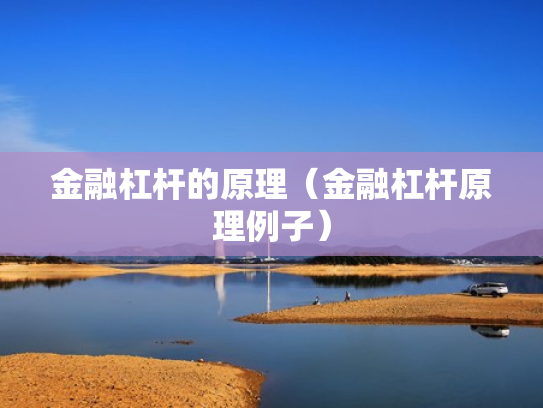 金融杠杆的原理（金融杠杆原理例子）