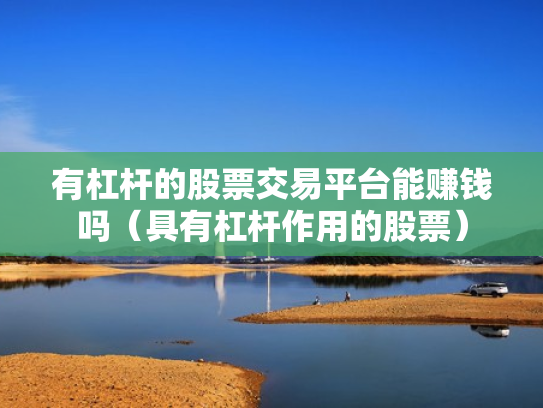 有杠杆的股票交易平台能赚钱吗（具有杠杆作用的股票）