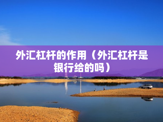 外汇杠杆的作用（外汇杠杆是银行给的吗）