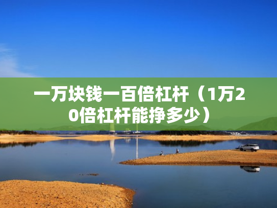 一万块钱一百倍杠杆（1万20倍杠杆能挣多少）