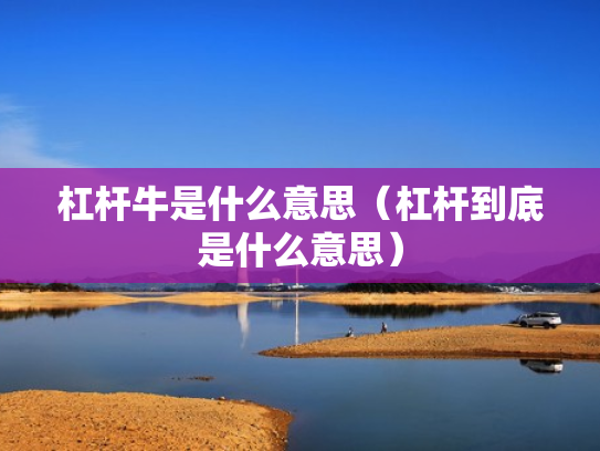 杠杆牛是什么意思（杠杆到底是什么意思）