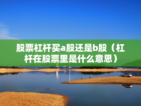 股票杠杆买a股还是b股（杠杆在股票里是什么意思）