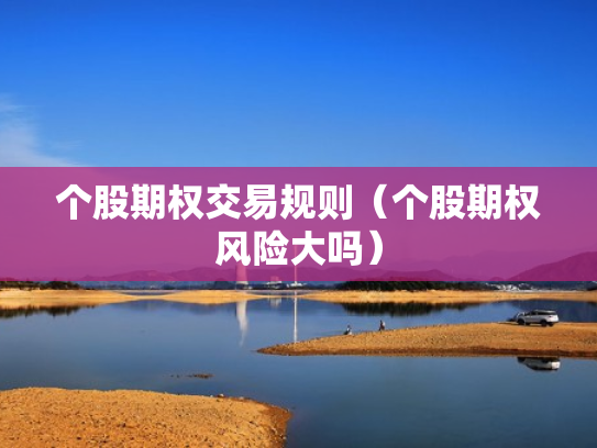 个股期权交易规则（个股期权风险大吗）