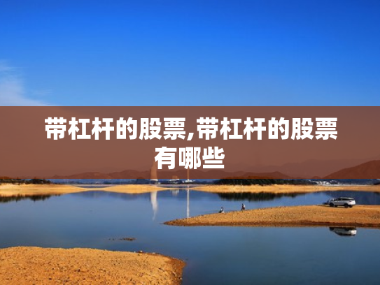 带杠杆的股票,带杠杆的股票有哪些