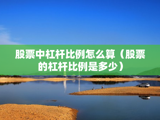 股票中杠杆比例怎么算（股票的杠杆比例是多少）