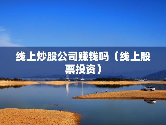 线上炒股公司赚钱吗（线上股票投资）