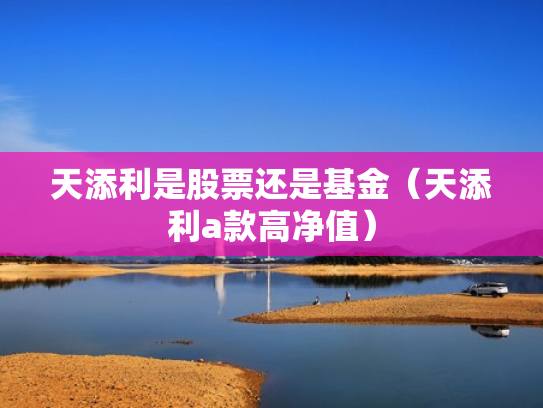天添利是股票还是基金（天添利a款高净值）