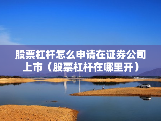 股票杠杆怎么申请在证券公司上市（股票杠杆在哪里开）