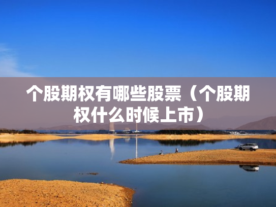 个股期权有哪些股票（个股期权什么时候上市）
