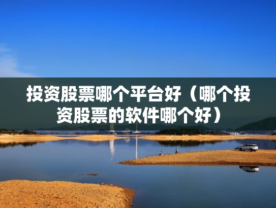 投资股票哪个平台好（哪个投资股票的软件哪个好）