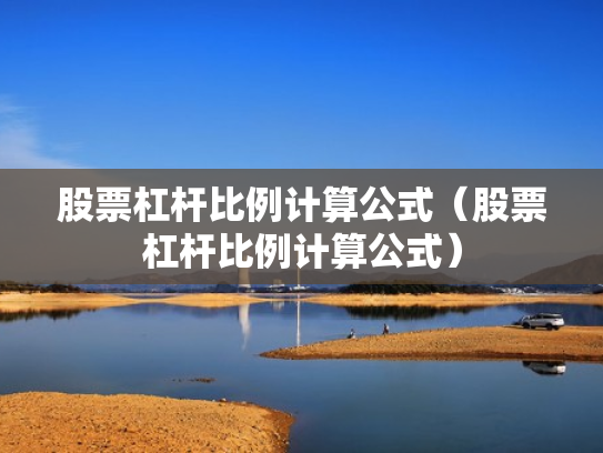 股票杠杆比例计算公式（股票杠杆比例计算公式）