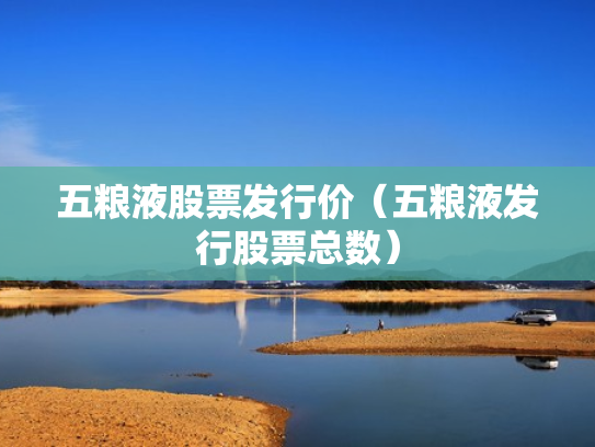 五粮液股票发行价（五粮液发行股票总数）