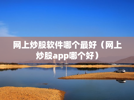 网上炒股软件哪个最好（网上炒股app哪个好）