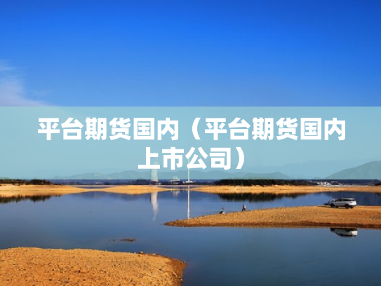 平台期货国内（平台期货国内上市公司）
