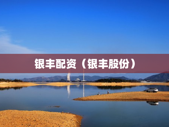 银丰配资（银丰股份）
