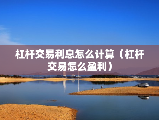 杠杆交易利息怎么计算（杠杆交易怎么盈利）