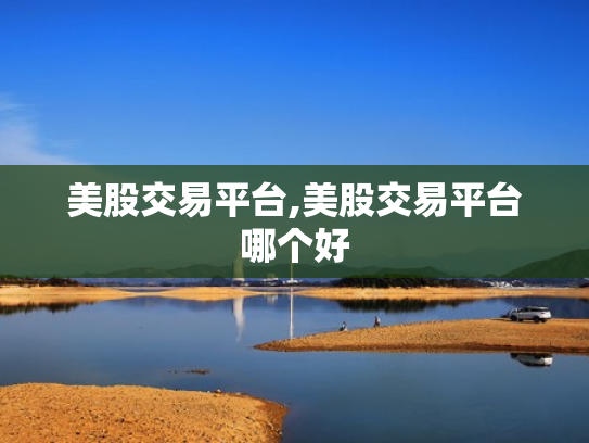 美股交易平台,美股交易平台哪个好