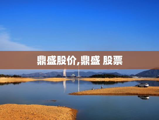 鼎盛股价,鼎盛 股票