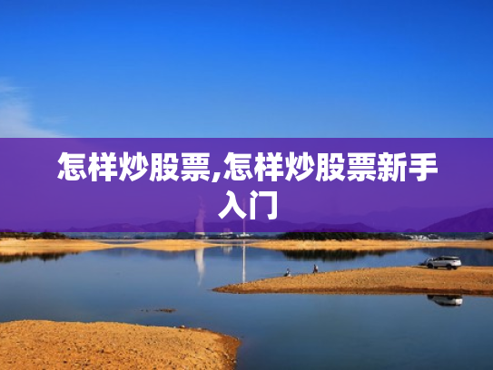 怎样炒股票,怎样炒股票新手入门