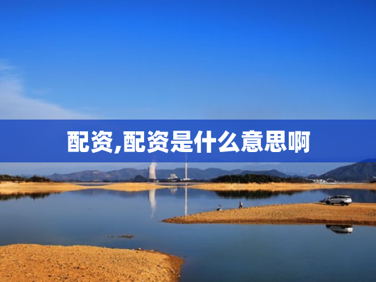 配资,配资是什么意思啊