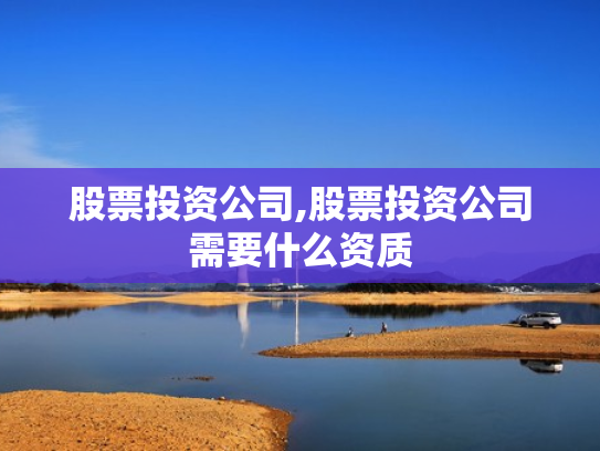 股票投资公司,股票投资公司需要什么资质