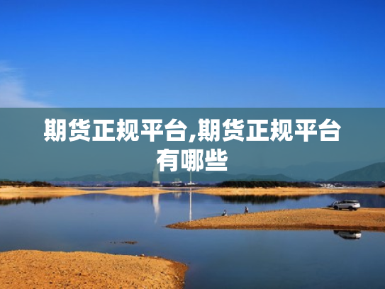期货正规平台,期货正规平台有哪些