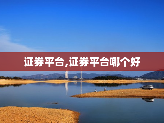 证券平台,证券平台哪个好