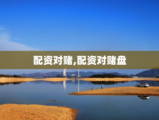 配资对赌,配资对赌盘